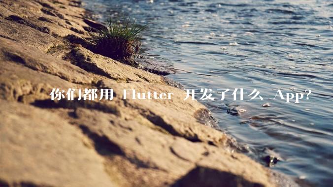 你们都用 Flutter 开发了什么 App？
