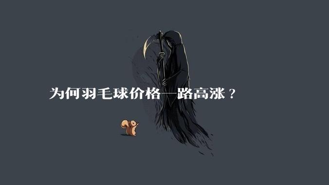 为何羽毛球价格一路高涨?