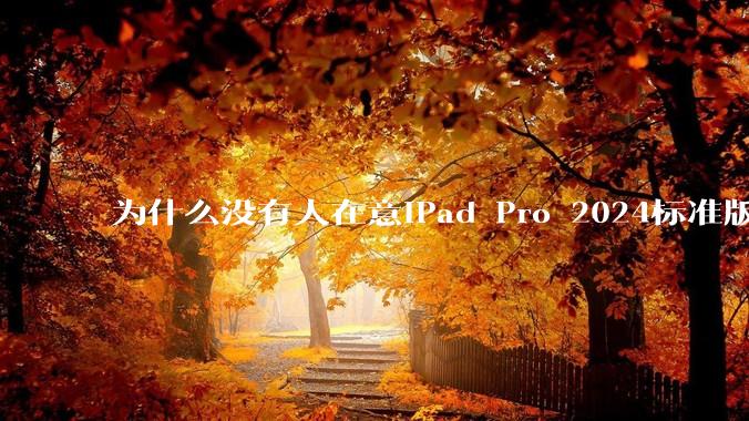 为什么没有人在意iPad Pro 2024标准版仅搭载的8GB内存（RAM）？
