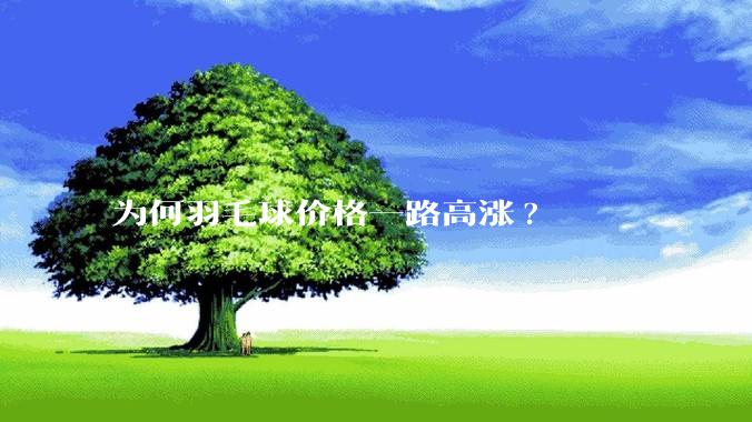 为何羽毛球价格一路高涨?