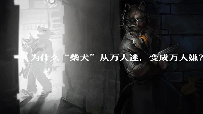 为什么“柴犬”从万人迷，变成万人嫌？