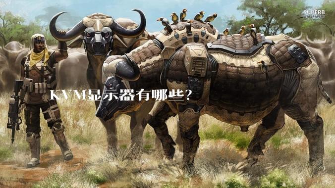 KVM显示器有哪些？