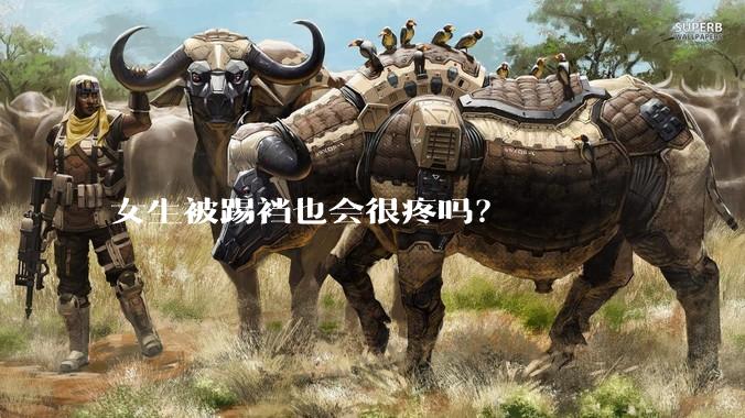 女生被踢裆也会很疼吗？